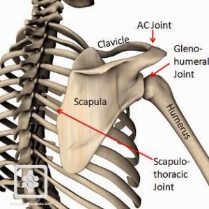 scapulothoracic joint capsy